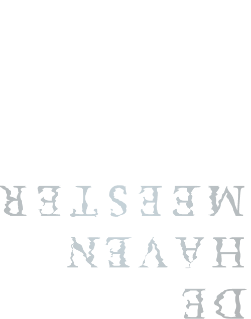Logo de haven meester